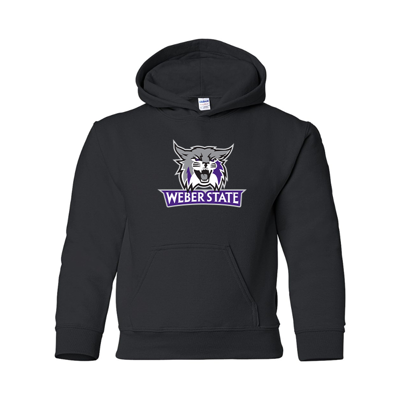 Youth Weber State Wildcats Pullover Hoodie