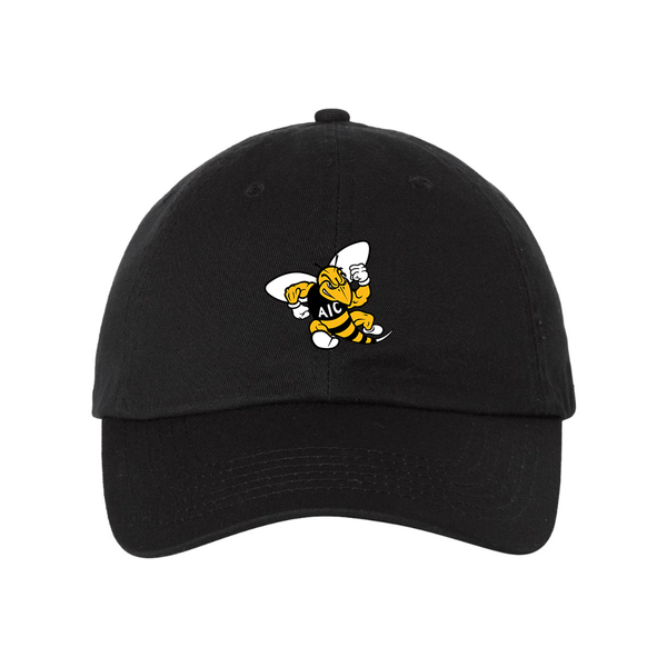 AIC Yellow Jackets  Valucap Adult Bio-Washed Classic Dad Hat