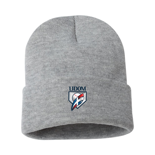 Lidom Logo Beanie Hat