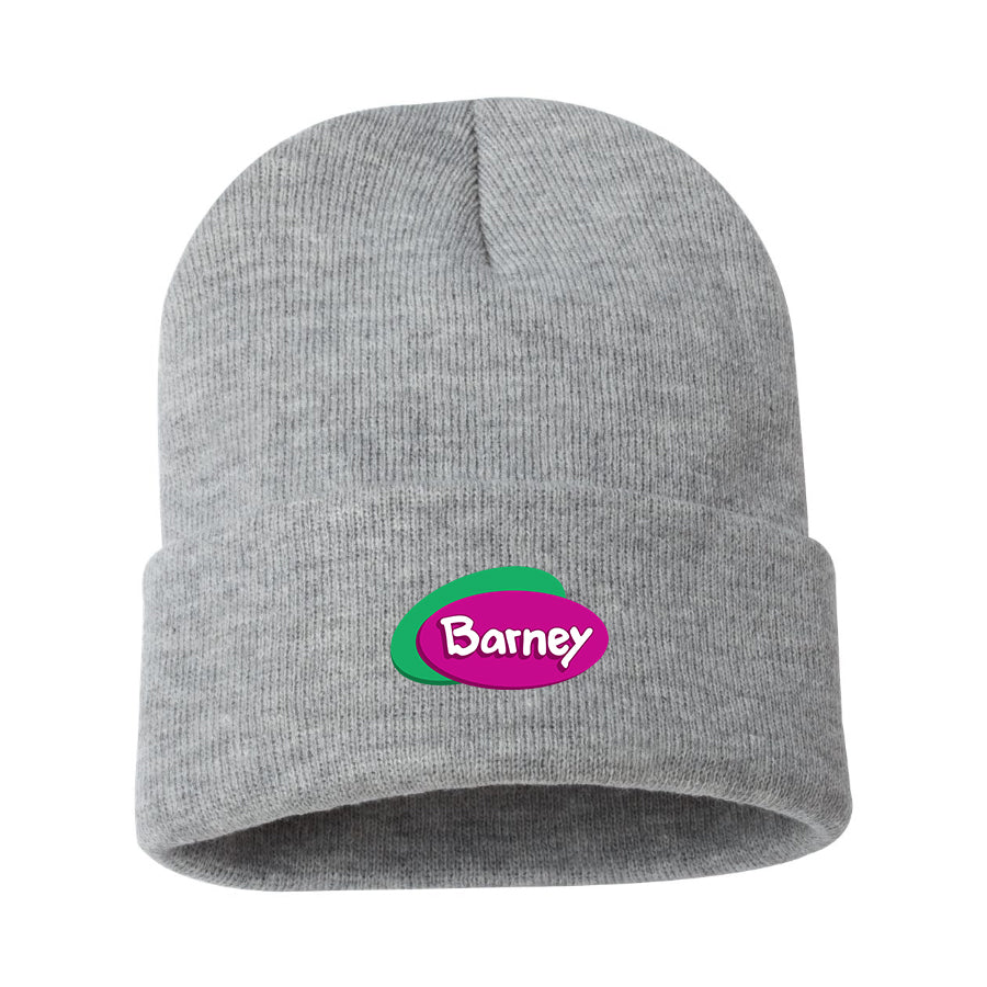 Barney Show Beanie Hat