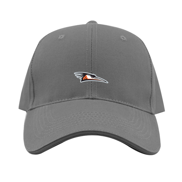 Delmarva Shorebirds Logo  Dad Baseball Cap Hat