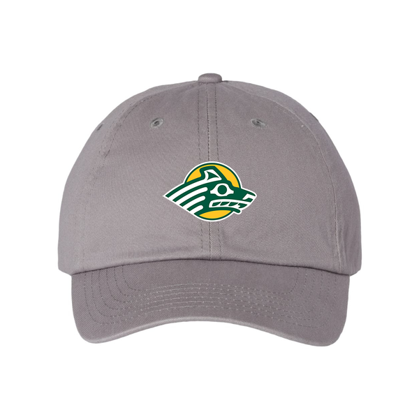 Alaska Anchorage Seawolves  Valucap Adult Bio-Washed Classic Dad Hat