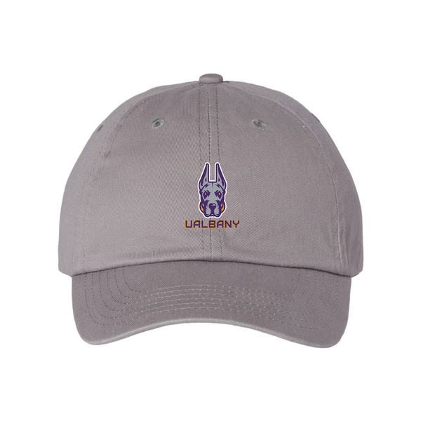 Albany Great Danes  Valucap Adult Bio-Washed Classic Dad Hat