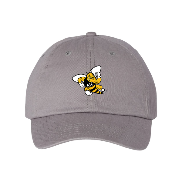 AIC Yellow Jackets  Valucap Adult Bio-Washed Classic Dad Hat