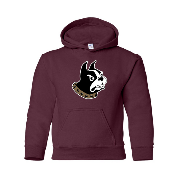 Youth Wofford Terriers Gildan Heavy Blend  Hooded Sweatshirt