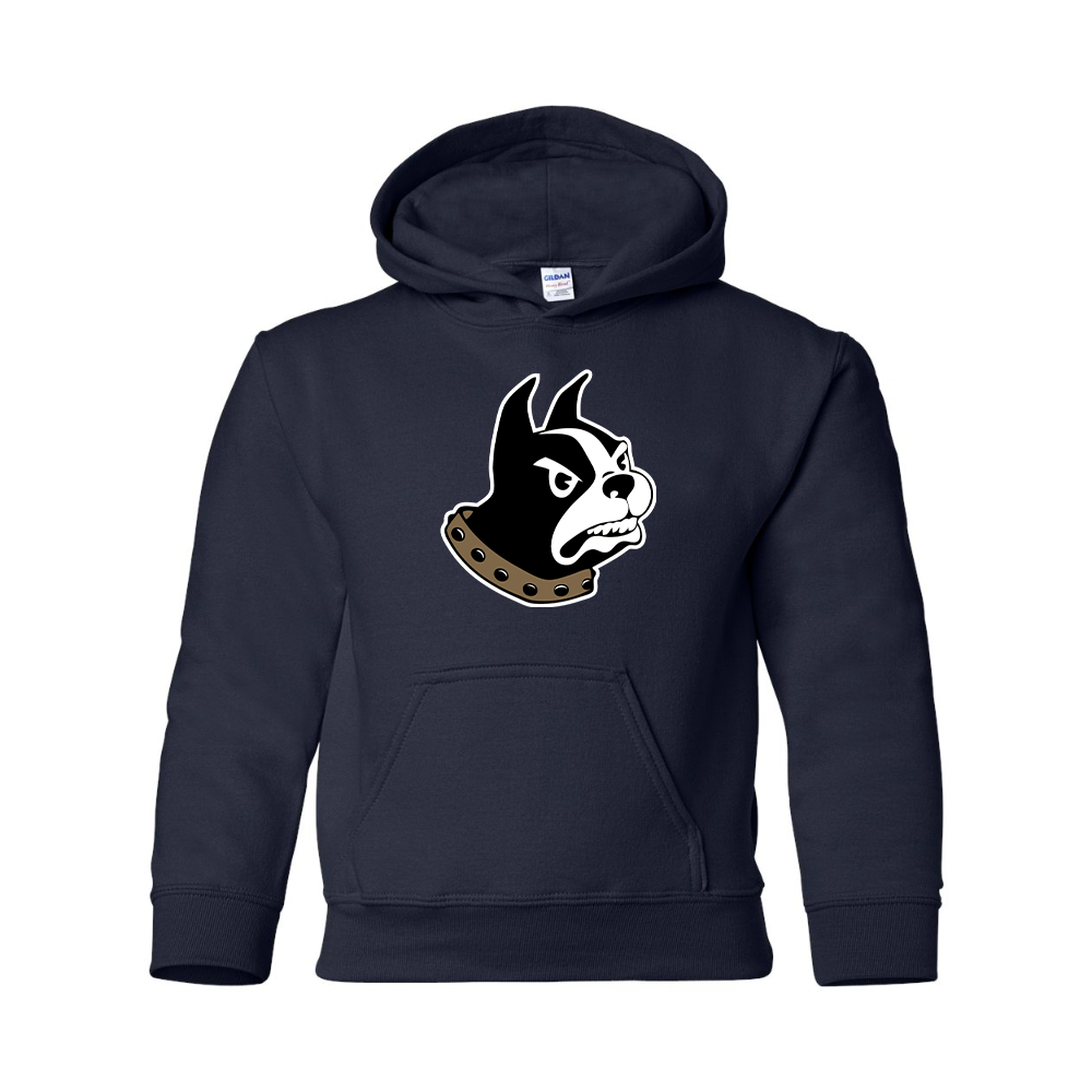Youth Wofford Terriers Pullover Hoodie