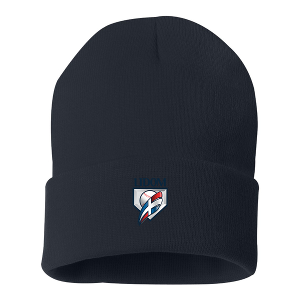 Lidom Logo Beanie Hat