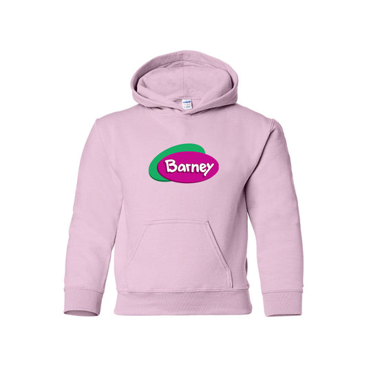 Youth Kids Barney Show Pullover Hoodie