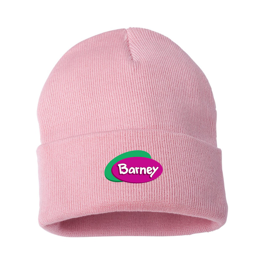 Barney Show Beanie Hat