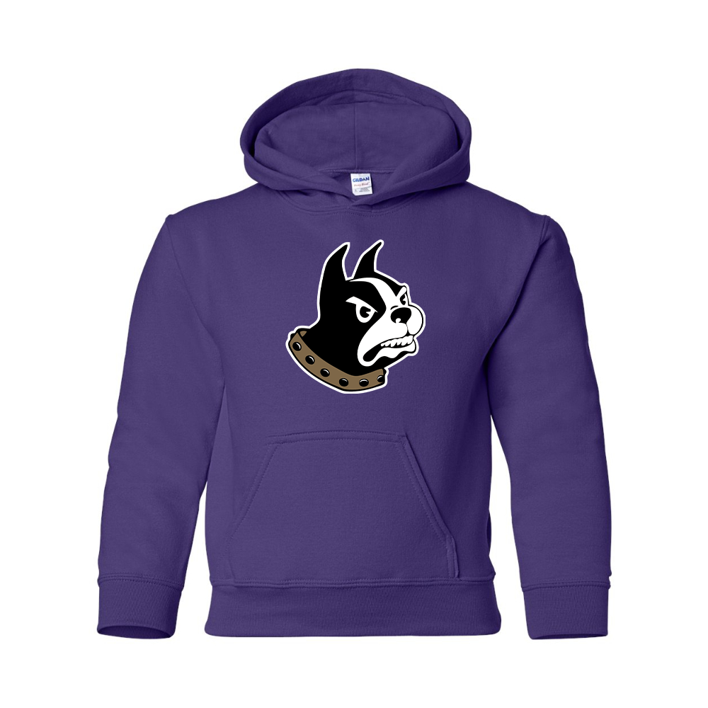 Youth Wofford Terriers Pullover Hoodie