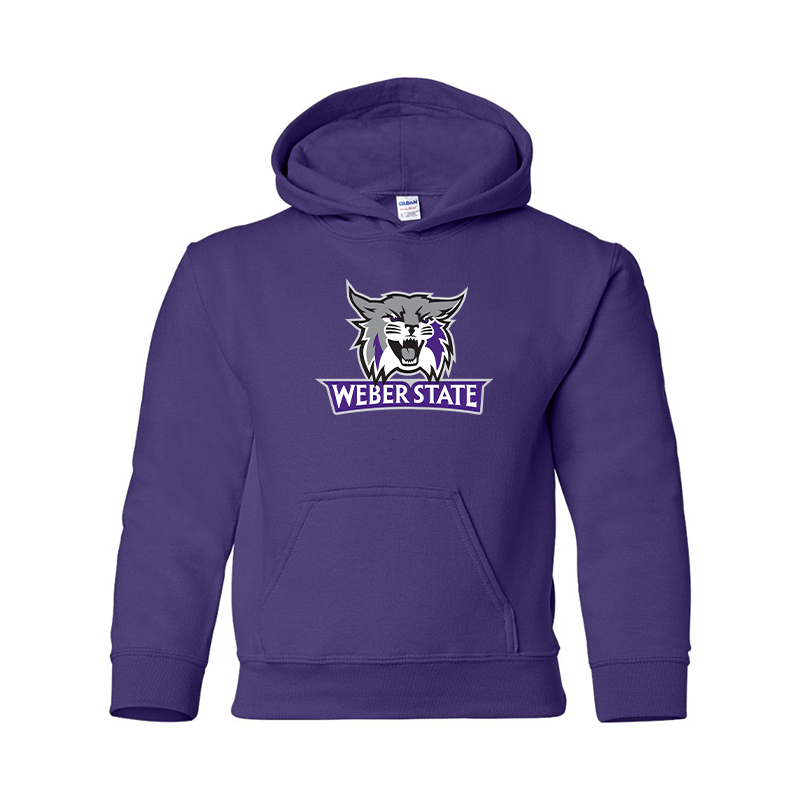 Youth Weber State Wildcats Pullover Hoodie