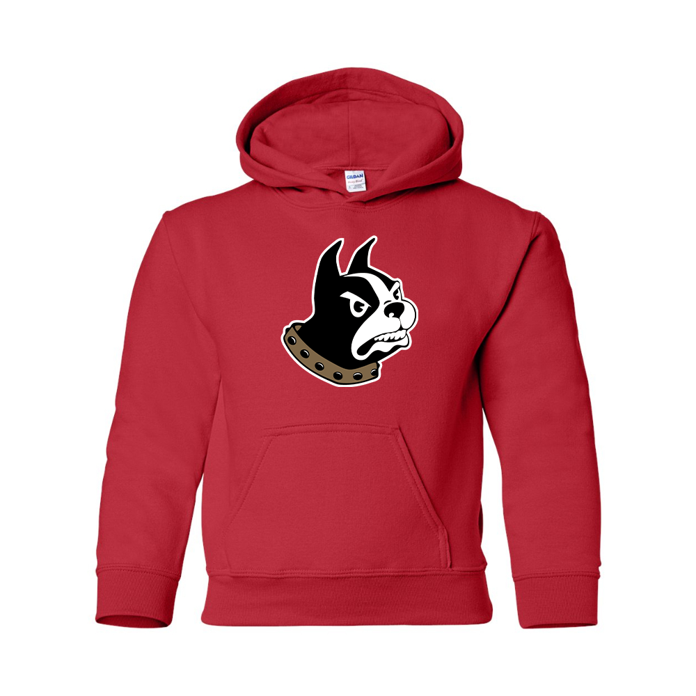 Youth Wofford Terriers Pullover Hoodie