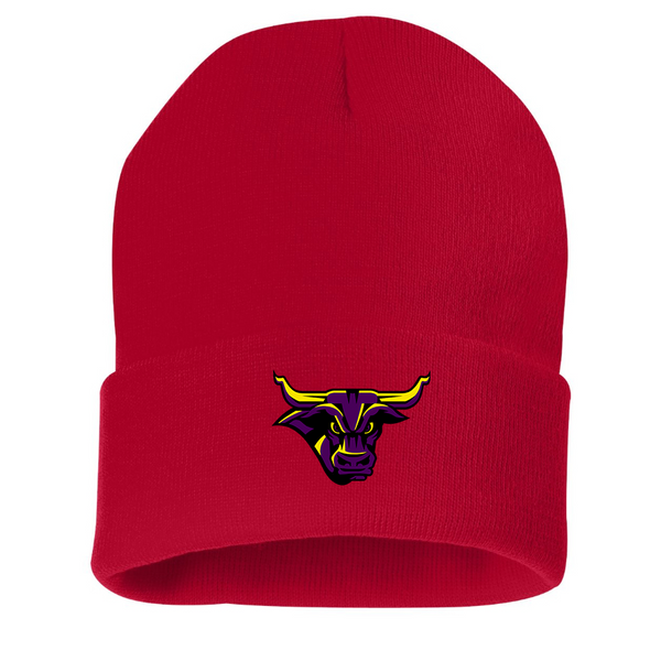 Minnesota State Mavericks Logo Beanie Hat