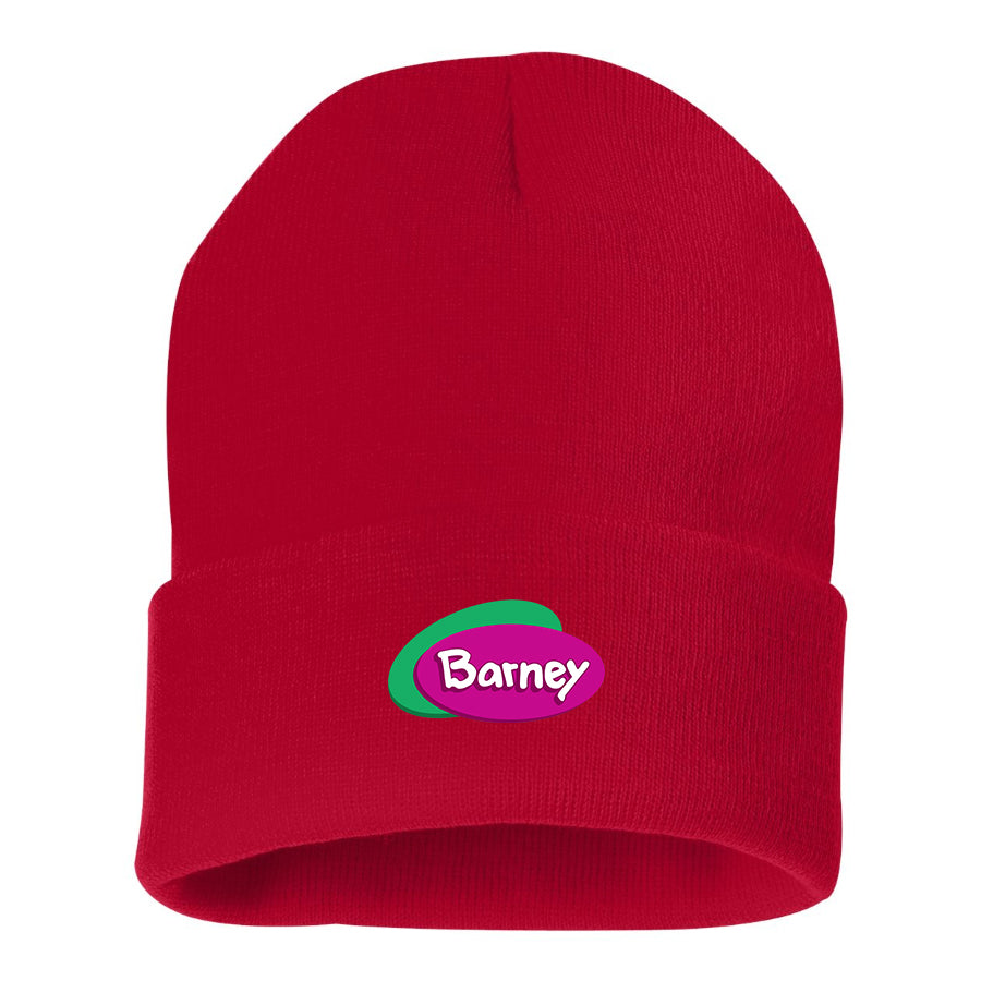 Barney Show Beanie Hat