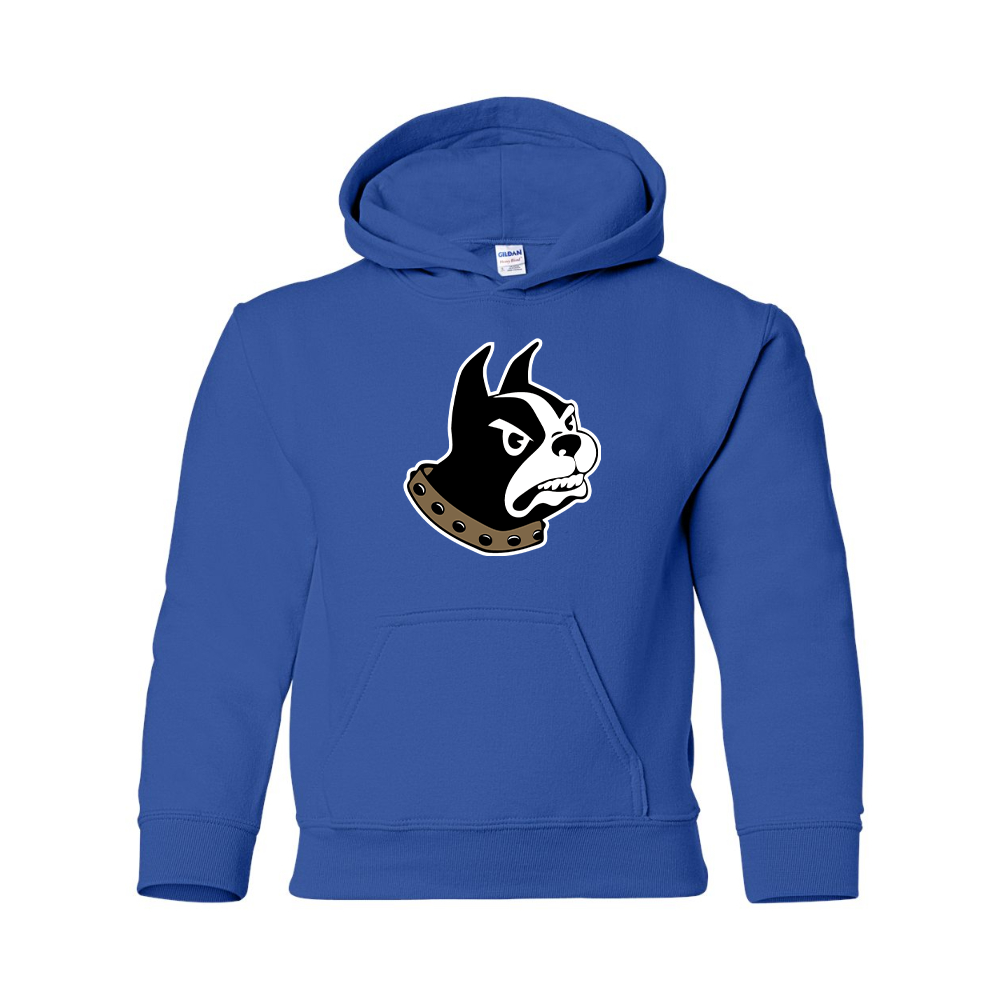 Youth Wofford Terriers Pullover Hoodie