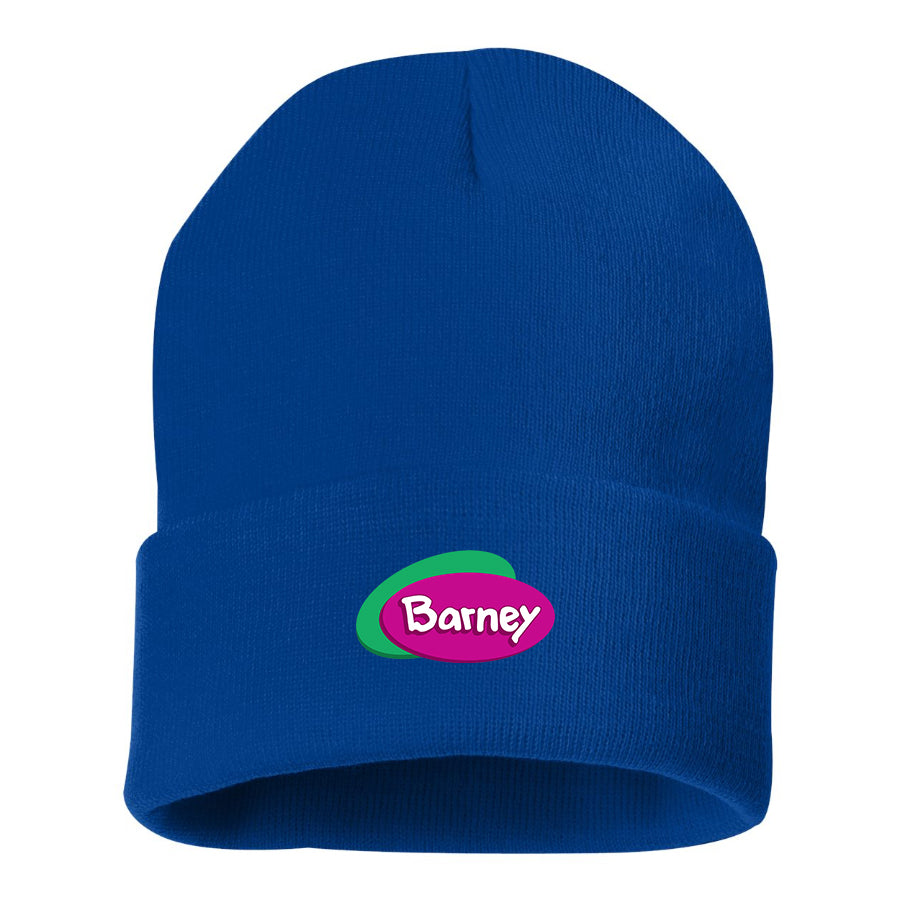 Barney Show Beanie Hat