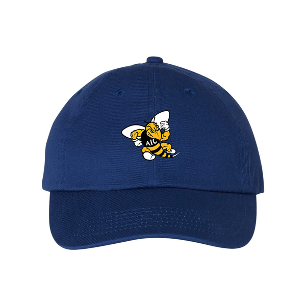 AIC Yellow Jackets  Valucap Adult Bio-Washed Classic Dad Hat