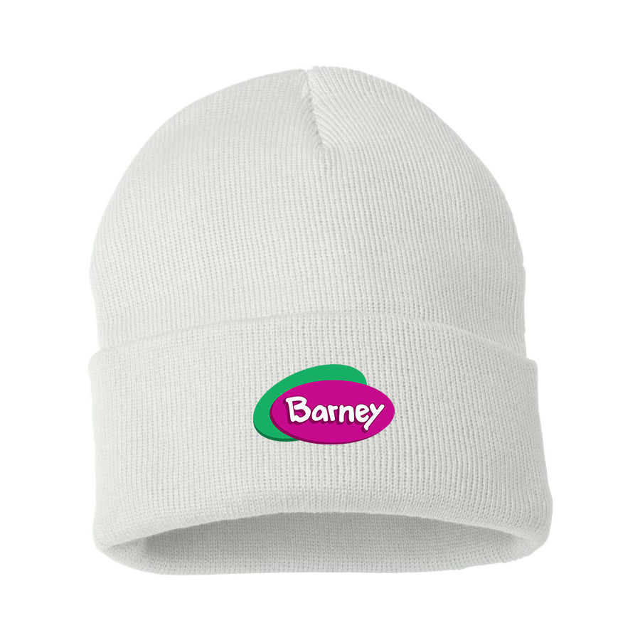 Barney Show Beanie Hat