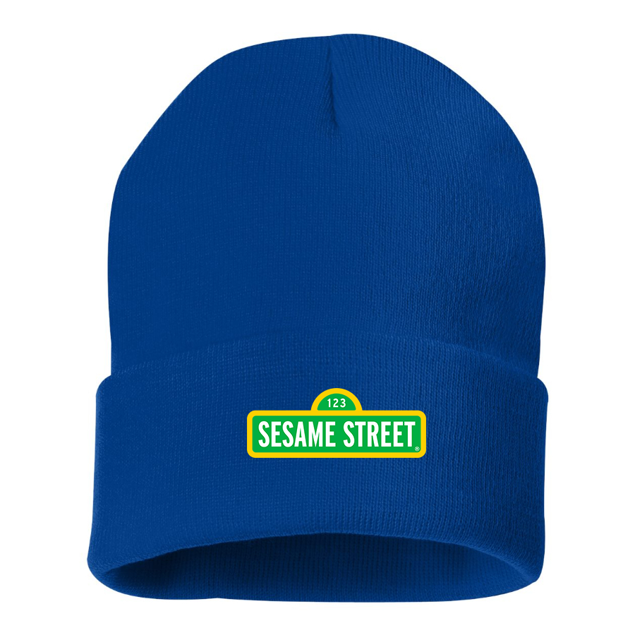 Sesame Street Show Beanie Hat