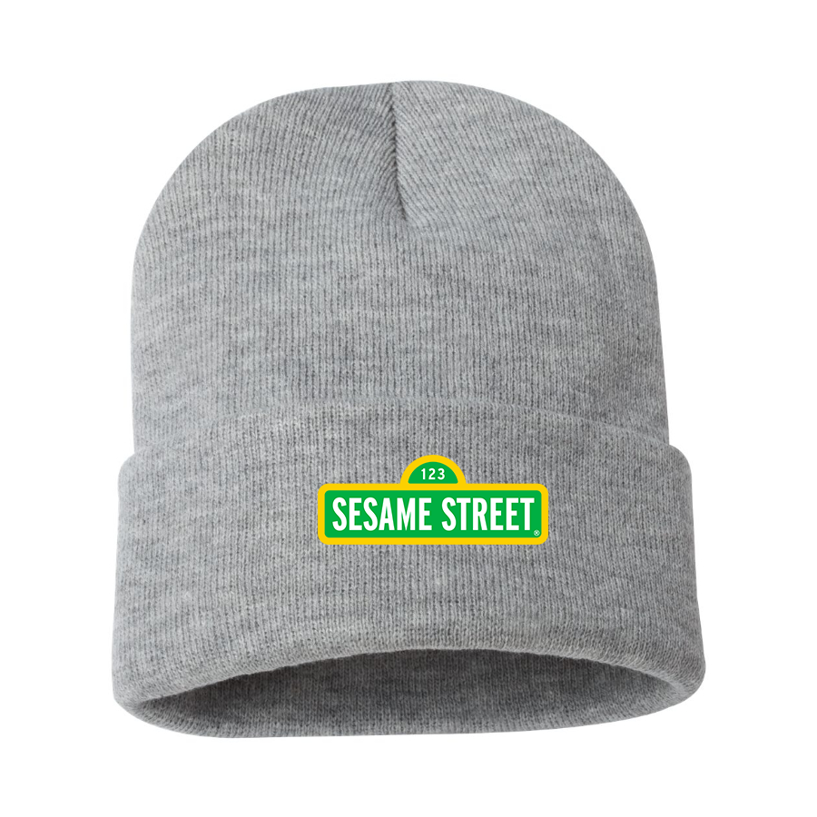 Sesame Street Show Beanie Hat