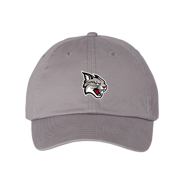 Davidson Wildcats  Valucap Adult Bio-Washed Classic Dad Hat