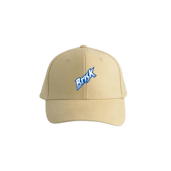 Brisk Logo  Dad Baseball Cap Hat