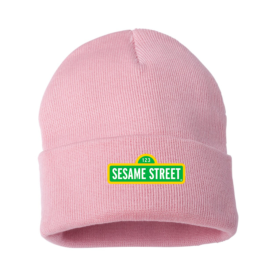 Sesame Street Show Beanie Hat