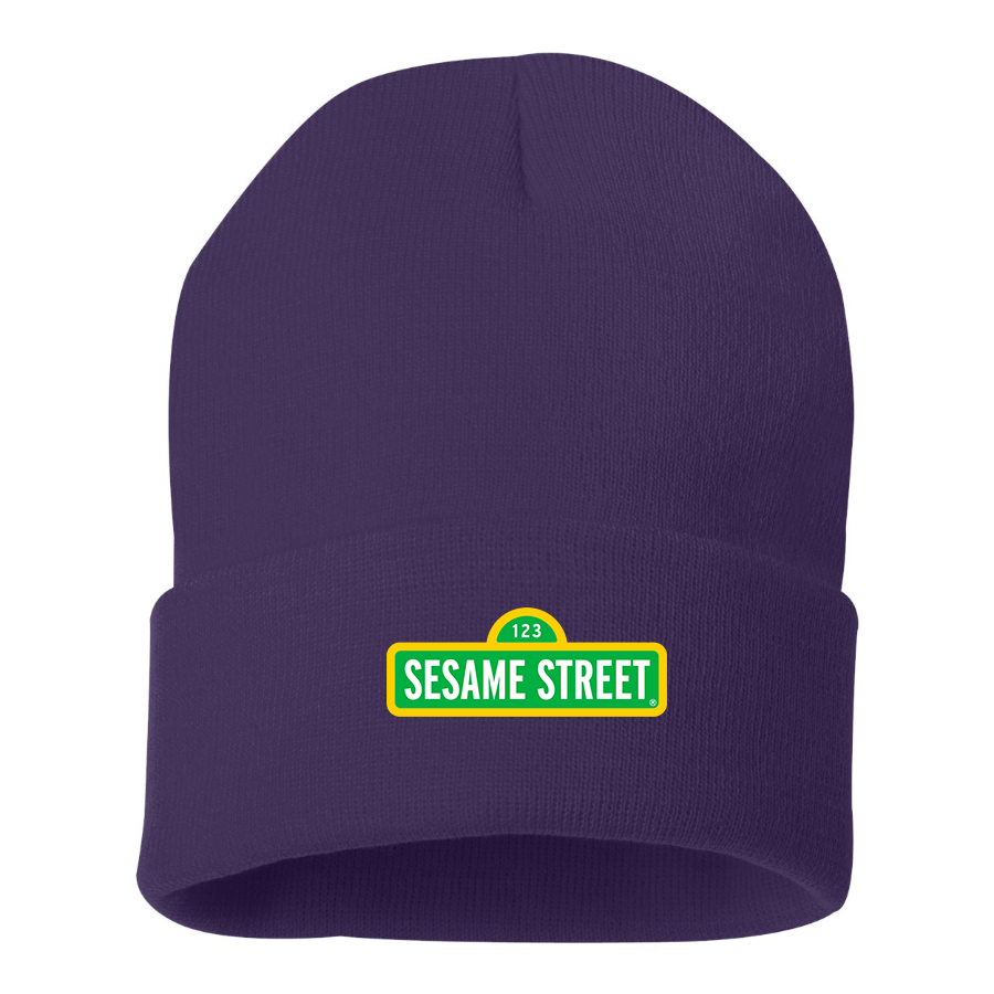 Sesame Street Show Beanie Hat