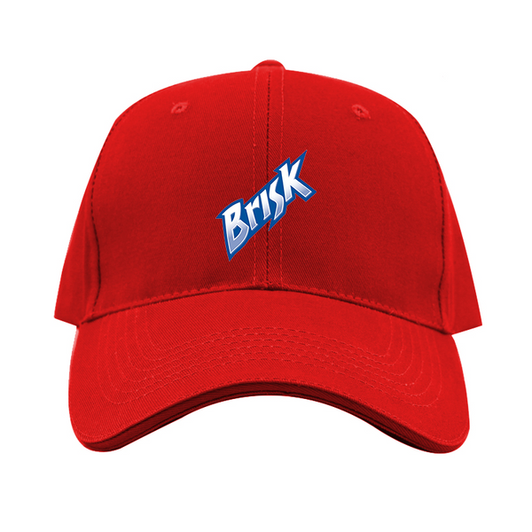 Brisk Logo  Dad Baseball Cap Hat