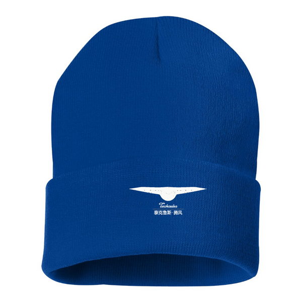 Techrules Logo Beanie Hat
