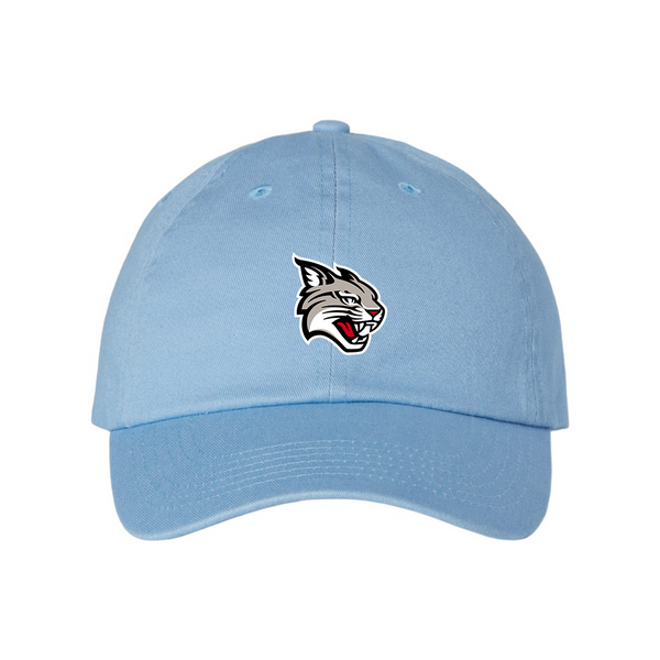 Davidson Wildcats  Valucap Adult Bio-Washed Classic Dad Hat