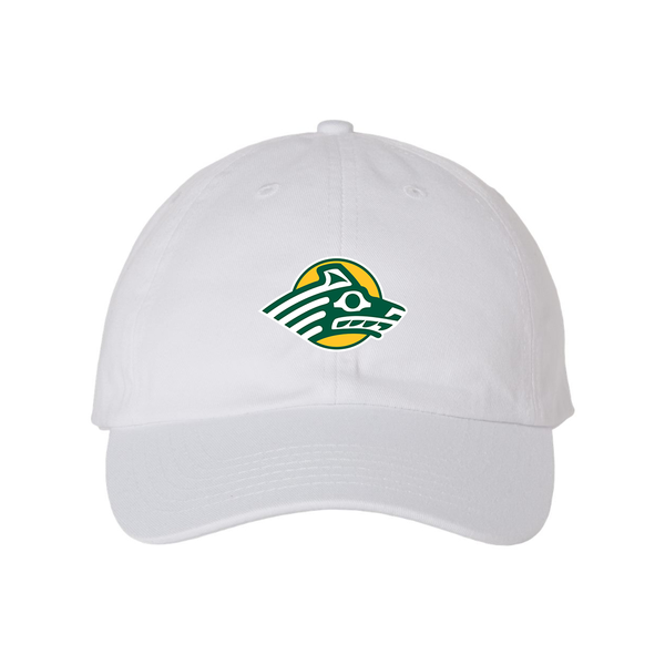 Alaska Anchorage Seawolves  Valucap Adult Bio-Washed Classic Dad Hat