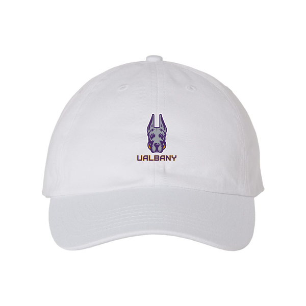 Albany Great Danes  Valucap Adult Bio-Washed Classic Dad Hat